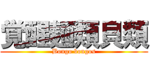 覚醒麺類貝類 (Bongo bongos)