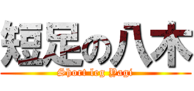 短足の八木 (Short leg Yagi)