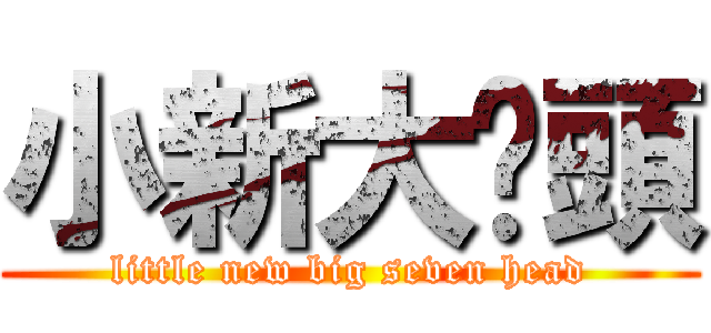 小新大柒頭 (little new big seven head)