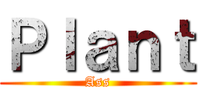 Ｐｌａｎｔ (Ass)