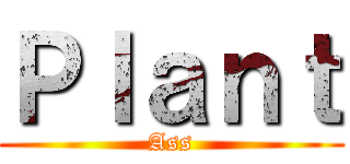 Ｐｌａｎｔ (Ass)