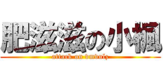 肥滋滋の小楓 (attack on vmvulz)