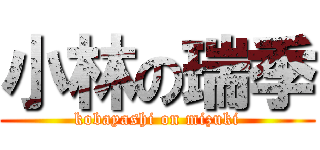 小林の瑞季 (kobayashi on mizuki)