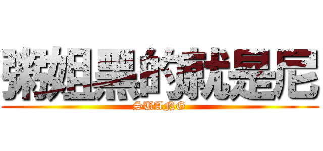 粥姐黑的就是尼 (SUANG)