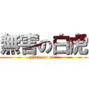 無害の白虎 (Fire on me!)