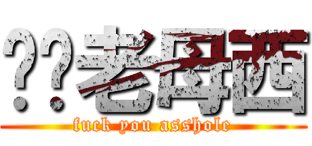 屌你老母西 (fuck you asshole)