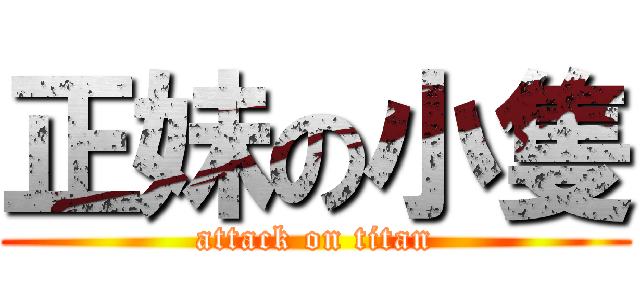 正妹の小隻 (attack on titan)
