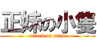 正妹の小隻 (attack on titan)