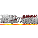 進擊の貓貓 (喵~)