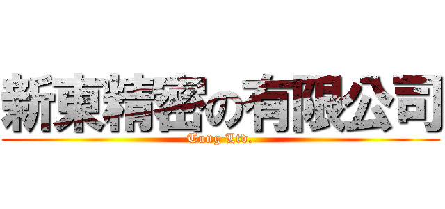 新東精密の有限公司 (Tung Ltd.)