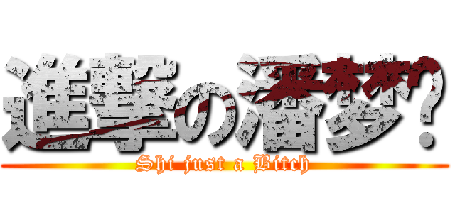 進撃の潘梦莹 (Shi just a Bitch)