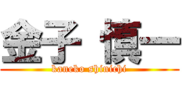 金子 慎一 (kaneko shinichi)