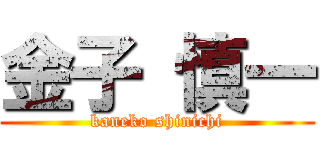 金子 慎一 (kaneko shinichi)