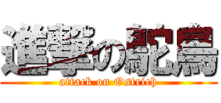 進撃の鴕鳥 (attack on Ostrich)