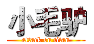 小毛驴 (attack on titan)