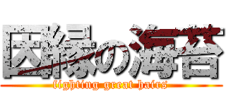 因縁の海苔 (fighting great hairs)