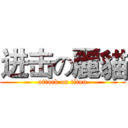 进击の麗貓 (attack on titan)