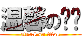 温馨の咖啡 (attack on titan)