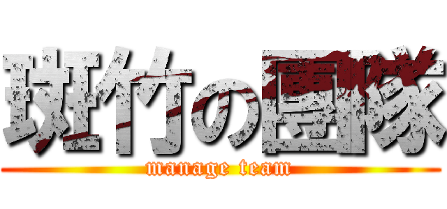 斑竹の團隊 (manage team)