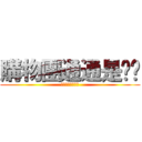 購物團通通是垃圾 (購物團通通是垃圾)