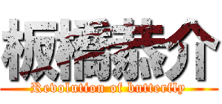 板橋恭介 (Revolution of butterfly)