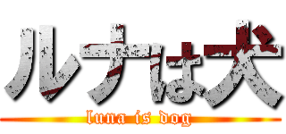 ルナは犬 (luna is dog)