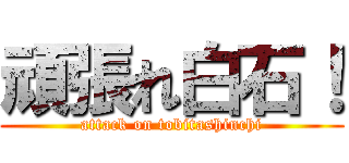 頑張れ白石！ (attack on tobitashinchi)