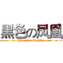 黑色の凤凰 (Phoenix·D·Sky)