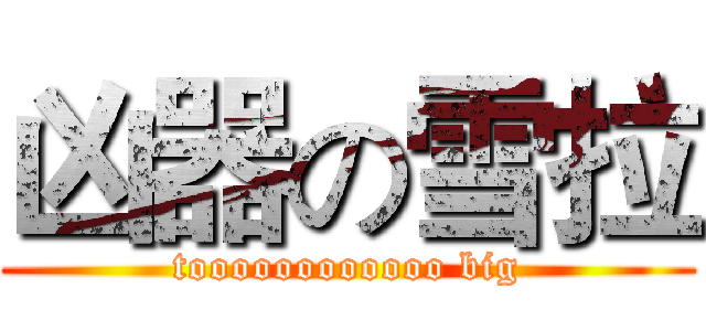 凶器の雪拉 (toooooooooooo big)