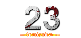 ２３ (tomizawa)