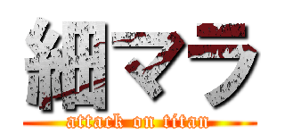 細マラ (attack on titan)