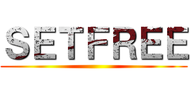 ＳＥＴＦＲＥＥ ()