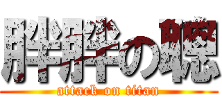 胖胖の聰 (attack on titan)