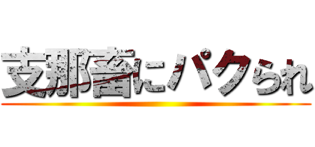 支那畜にパクられ ()