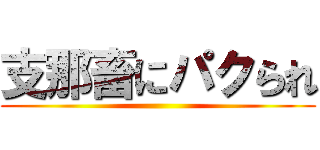 支那畜にパクられ ()