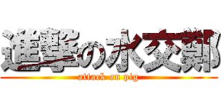 進撃の水交鄭 (attack on pig)