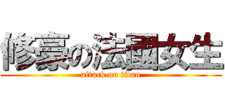 修豪の法國女生 (attack on titan)