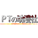 ＰＴの动漫社 (PT Anime Club)