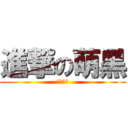 進撃の萌黑 (小黑嫁我)