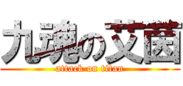 九魂の艾茵 (attack on titan)