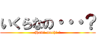 いくらなの・・・？ (How　 much　 ?)