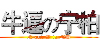 牛逼の宁柏 (N and B is NB)