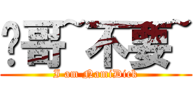 佺哥~不要~ (I am NamiDick)