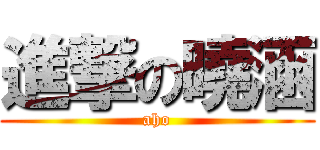 進撃の曉涵 (aho)