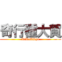 奇行種大賀 (KiKoUSyu)