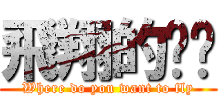 飛翔的內褲 (Where do you want to fly)