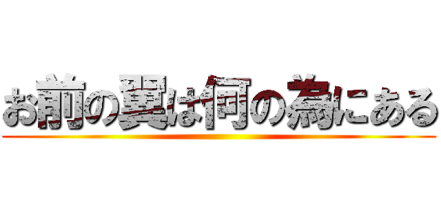 お前の翼は何の為にある ()