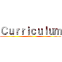 Ｃｕｒｒｉｃｕｌｕｍ (Vitae)