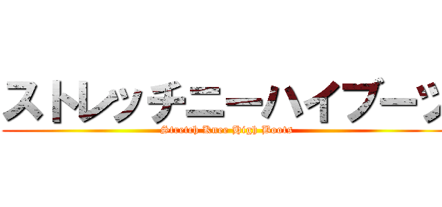 ストレッチニーハイブーツ (Stretch Knee High Boots)