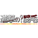 進撃の髒屁毛 (attack on titan)